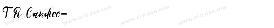 TR Candice字体转换